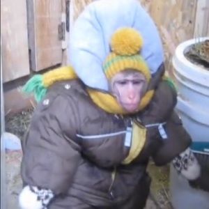 Meet your Posher, Terra